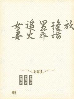 女追男后放弃追妻火葬场