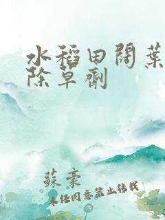 水稻田阔叶杂草除草剂 水稻田阔叶杂草除草剂