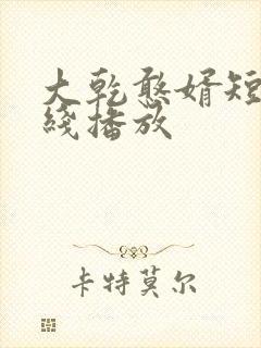 大乾憨婿短剧在线播放