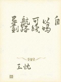 导航可以自己规划路线吗