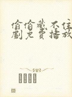 偷偷藏不住电视剧免费播放完整版