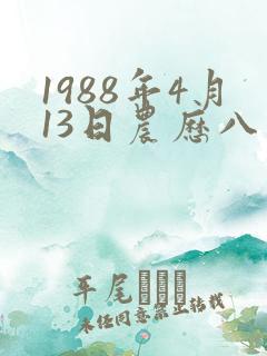1988年4月13日农历八字