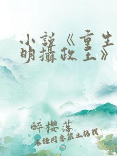 小说《重生之大明摄政王》