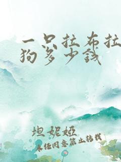 一只拉布拉多小狗多少钱