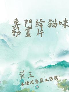 专门给猫咪看的动画片