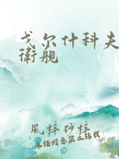 戈尔什科夫级护卫舰