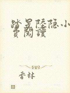 踏星陆隐小说免费阅读