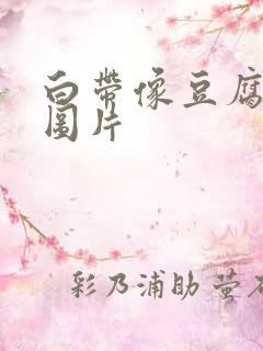 白带像豆腐渣状图片