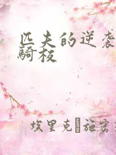 匹夫的逆袭 骁骑校