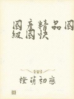 国产精品国产三级国快