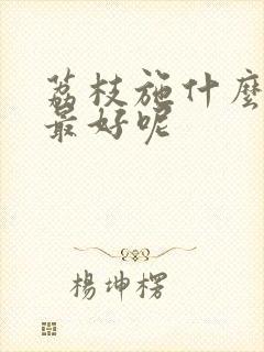 荔枝施什么肥料最好呢