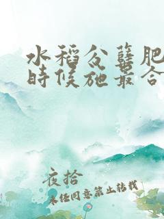 水稻分蘖肥什么时候施最合适