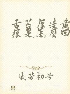 舌苔厚淡黄有齿痕是怎么回事