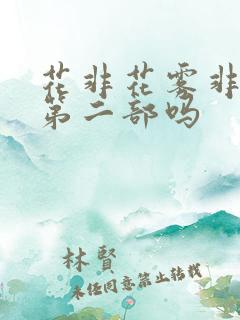花非花雾非雾有第二部吗