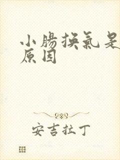 小肠换气是什么原因 小肠换气是什么原因