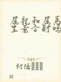 属龙和属马的做生意合财吗