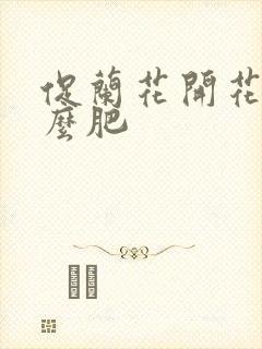 促兰花开花施什么肥