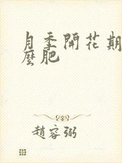 月季开花期施什么肥