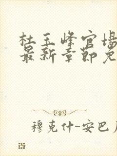 杜玉峰官场小说最新章节免费阅读