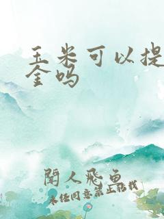 玉米可以提取黄金吗