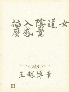 插入阴道女人什么感觉