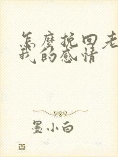 怎么挽回老婆对我的感情