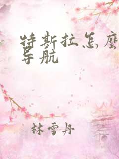 特斯拉怎么投屏导航