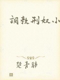 调教刑奴小说