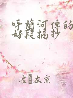 呼兰河传的好词好段摘抄