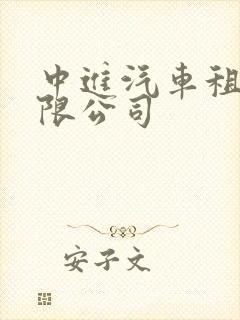 中进汽车租赁有限公司