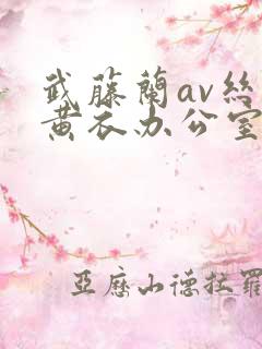 武藤兰av丝袜黄衣办公室在线观看