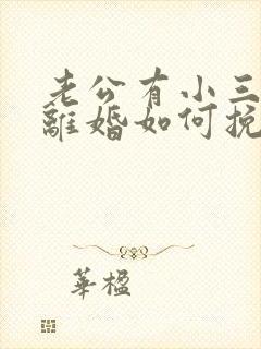 老公有小三了要离婚如何挽回