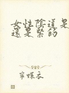 女性阴道是松的还是紧的