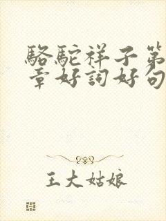 骆驼祥子第14章好词好句摘抄 骆驼祥子第14章好词好句摘抄