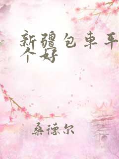 新疆包车平台哪个好