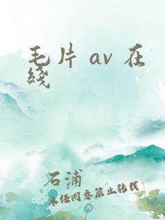 毛片 av 在线