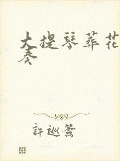 大提琴葬花吟独奏