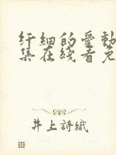 纤细的爱动漫全集在线看免费双男主 纤细的爱动漫全集在线看免费双男主