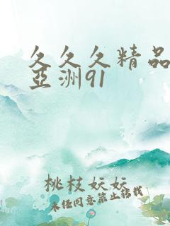 久久久精品国产亚洲91