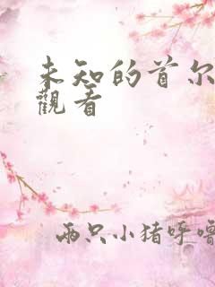 未知的首尔免费观看 未知的首尔免费观看