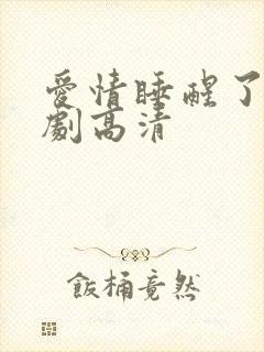 爱情睡醒了电视剧高清