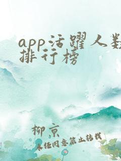app活跃人数排行榜