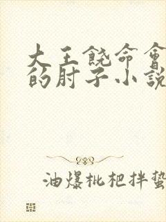 大王饶命会说话的肘子小说在线
