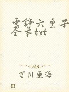 云铮六皇子下载全本txt
