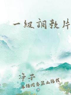 一级调教片