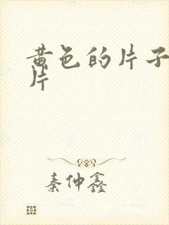 黄色的片子一级片