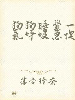狗狗睡觉一直喘气呼吸急促 狗狗睡觉一直喘气呼吸急促