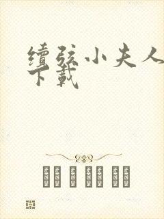续弦小夫人全书下载