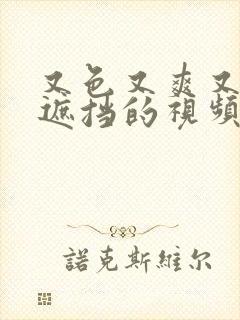 又色又爽又黄无遮挡的视频