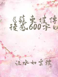 《苏东坡传》读后感600字以上